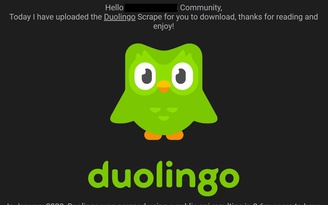 Dữ liệu 2,6 triệu người dùng Duolingo bị phát tán công khai