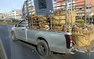 Sử dụng xe bán tải: Khác biệt giữa người Thái và người Việt