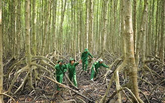 Thanh niên xung phong giữ vững 'lá phổi xanh' TP.HCM