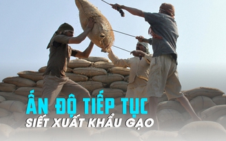 Ấn Độ tiếp tục siết xuất khẩu gạo