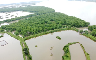 UBND tỉnh Thái Bình: Khu bảo tồn thiên nhiên Tiền Hải chỉ là tên gọi của rừng đặc dụng