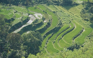 Bùi Hui, thiên đường dã ngoại