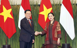 Cơ hội để Việt Nam - Indonesia tăng cường quan hệ song phương