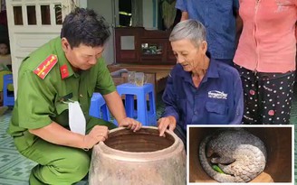 Lão nông miền Tây bắt được tê tê quý hiếm nặng 8 kg