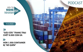 Nghe nhanh 6h: Giải cứu trang trại chết 8.000 con gà | Hơn 1.000 container bị ‘bỏ quên’