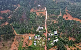 Thủ tướng yêu cầu xử lý nghiêm việc xây dựng trái phép trên đất rừng phòng hộ