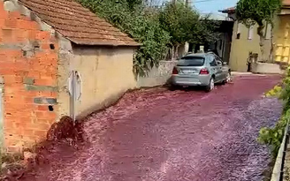 Rượu vang chảy như suối ở Bồ Đào Nha