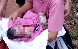 Quảng Bình: Phát hiện trẻ sơ sinh bị bỏ rơi trong rừng cao su