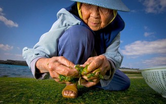 5 vùng đất Blue Zones có gì mà người dân sống trường thọ bậc nhất thế giới?