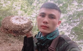 Nghệ An: Nam thanh niên mất tích trong rừng khi săn ong