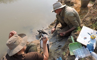 Các nhà khảo cổ phát hiện 2 thanh gỗ ở Zambia cách đây gần nửa triệu năm