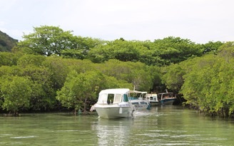 Phát triển H.Côn Đảo trở thành khu du lịch sinh thái biển đảo đẳng cấp quốc tế