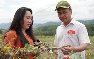 Thí điểm mô hình trồng sâm bố chính đầu tiên tại Đồng Nai