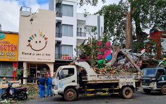 Cây gãy đổ giữa TP.Buôn Ma Thuột đè trúng người đi đường