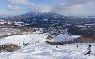 Kinh nghiệm du lịch tại Hokkaido: Tổng hợp những địa điểm hấp dẫn