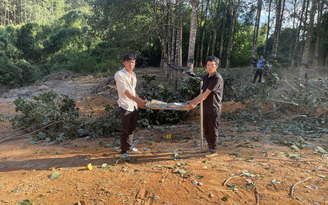 Trộm xi măng về sửa chuồng bò, 2 người đàn ông ở Kon Tum bị khởi tố