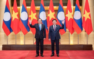 Việt Nam sẵn sàng hỗ trợ Lào đảm nhiệm thành công các trọng trách quốc tế