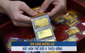 Biến động vàng ngày 11.10: Giá vàng miếng SJC đắt hơn thế giới 5 triệu đồng