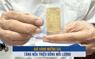 Biến động vàng ngày 14.10: Giá vàng miếng SJC tăng nửa triệu đồng mỗi lượng