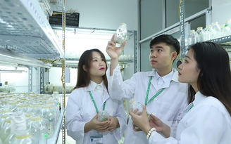 Tin tức đặc biệt trên báo in Thanh Niên 26.10.2024