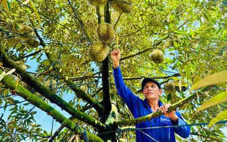 Từ nông dân thành tỉ phú