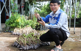 Chàng trai trồng cỏ để bán, thu lãi 300 - 400 triệu đồng/năm