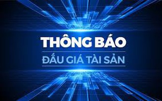Trung tâm dịch vụ đấu giá tài sản (Sở Tư pháp TP.HCM) thông báo đấu giá tài sản

