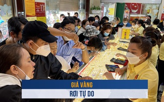 Biến động vàng ngày 8.11: Giá vàng rơi tự do