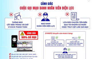 Giả danh nhân viên Tổng công ty Điện lực miền Nam lừa đảo hơn 1 tỉ đồng