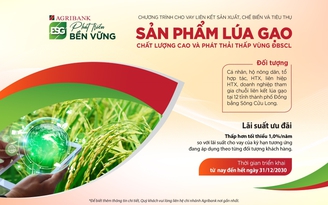 Agribank triển khai cho vay liên kết sản xuất lúa gạo chất lượng cao vùng ĐBSCL