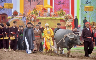 Về Hà Nam xem 'vua đi cày' trong lễ hội Tịch điền