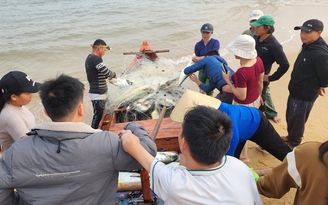 Sau tết, ngư dân Quảng Bình trúng đậm mẻ cá bè
