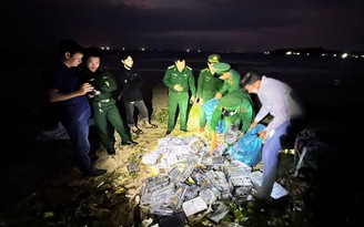 Bàn giao hơn 280 kg cocaine cho Công an tỉnh Quảng Ngãi xử lý