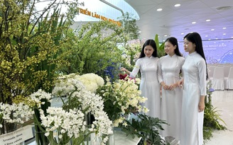 Đà Nẵng: Công viên APEC triển lãm hơn 60 loài hoa Nhật Bản