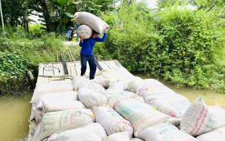 Giá gạo tăng mạnh, Indonesia quyết định nhập khẩu đến 3,6 triệu tấn