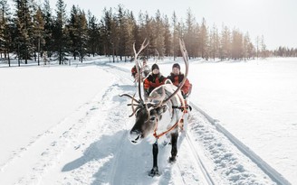 Thử lái xe tuần lộc tại Lapland, Phần Lan: Quê hương của ông già Noel