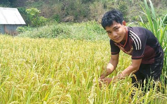 Trở lại Pờ Yầu