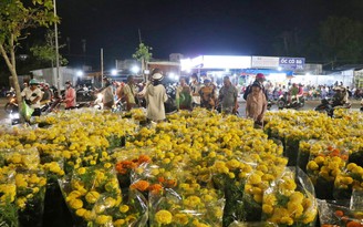 Gần giao thừa, hoa kiểng vẫn tràn ngập chợ
