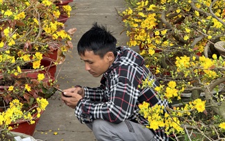 Tiểu thương rầu rĩ ở chợ hoa xuân bên bờ vịnh Hạ Long