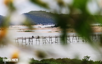 Độc lạ cây cầu gỗ dài gần 1 km bắc qua sông Bình Bá