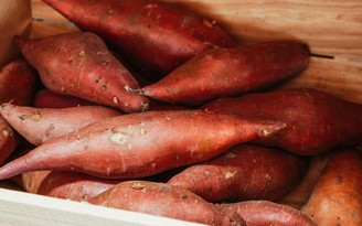 Ngày mới với tin tức sức khỏe: Tại sao ăn khoai lang nên giữ nguyên vỏ?