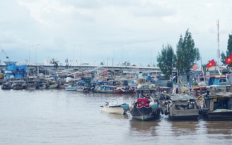 Bạc Liêu: Xác minh 2 tàu cá cùng 11 ngư dân bị Thái Lan bắt giữ