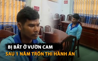 Bị bắt ở vườn cam sau gần 1 năm trốn truy nã