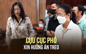 Phúc thẩm vụ Thuduc House: Cựu sếp nữ Cục Thuế TP.HCM kháng cáo xin án treo