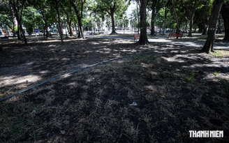 Thảm cỏ xanh công viên trung tâm TP.HCM trơ trụi sau lễ hội: Khi nào khắc phục?