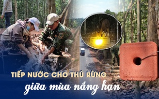 Tiếp nước cho thú rừng giữa mùa khô nắng hạn