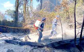 Hơn 6 giờ khống chế đám cháy tại bìa rừng Vườn quốc gia Phú Quốc