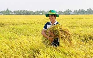 Sầu riêng, cà phê, gạo xuất khẩu thuận lợi giúp phân bón tiêu thụ tăng