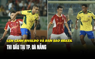 Giao hữu bóng đá Việt Nam - Brazil: Khán giả phấn khích khi chạm mặt huyền thoại