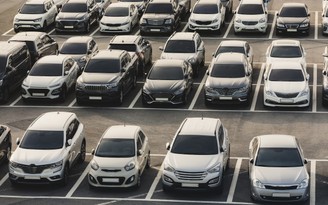 Thị phần ô tô màu trắng, đen ngày càng gia tăng